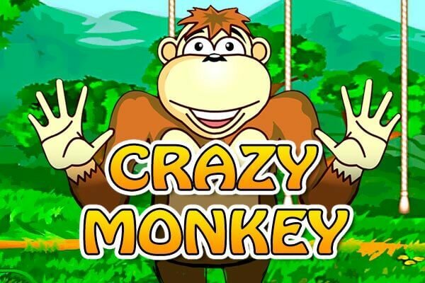 Crazy Monkey Crazy Monkey